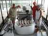 (07/11/2009) - Nice Striped Bass
