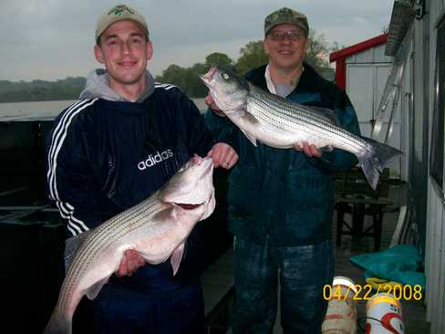 Nice Striped Bass