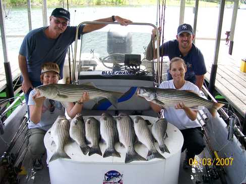 Nice Striped Bass