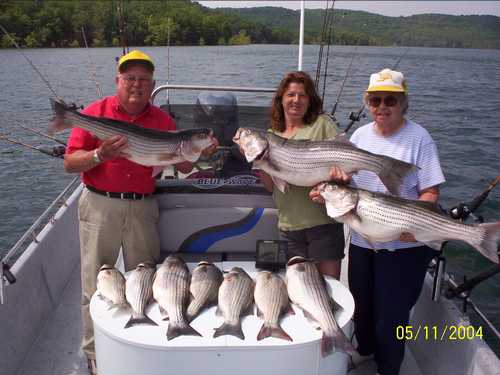 Nice Striped Bass