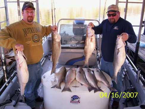 Nice Striped Bass