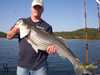 (09/21/2004) - Nice Striped Bass