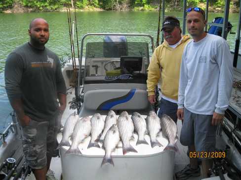 Nice Striped Bass