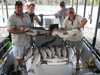 (06/19/2009) - Nice Striped Bass