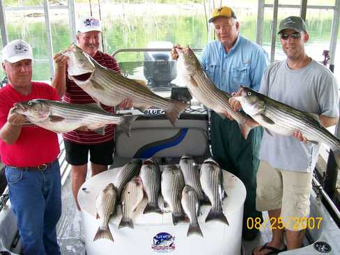 Nice Striped Bass