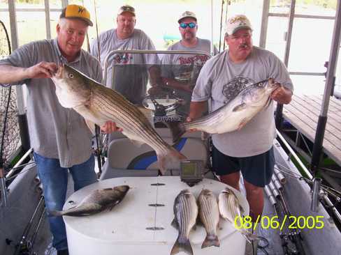 Nice Striped Bass