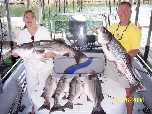 Nice Striped Bass