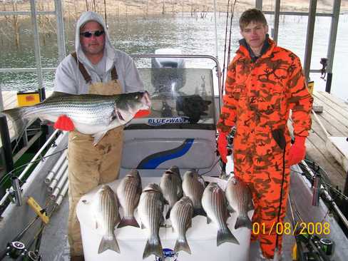 Nice Striped Bass