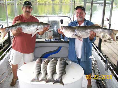 Nice Striped Bass