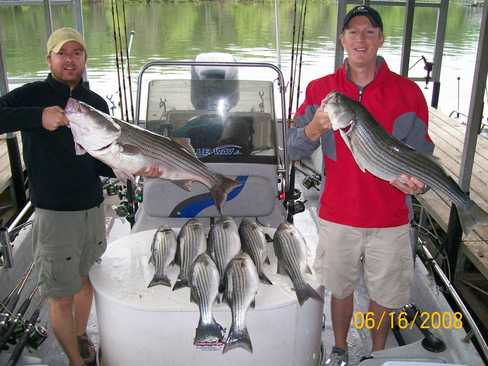 Nice Striped Bass