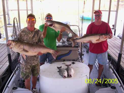 Nice Striped Bass