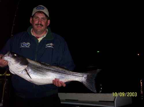 Nice Striped Bass