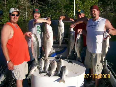 Nice Striped Bass