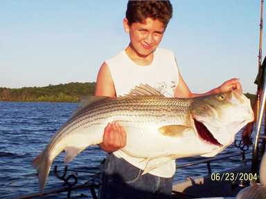 Now that is a Hog Striper