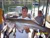 (08/14/2006) - Nice Striped Bass