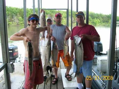 Nice Striped Bass
