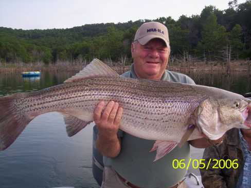 Now that is a Hog Striper