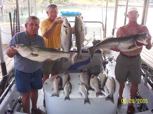 Nice Striped Bass