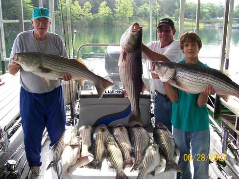 Nice Striped Bass