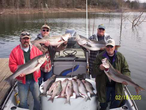 Nice Striped Bass