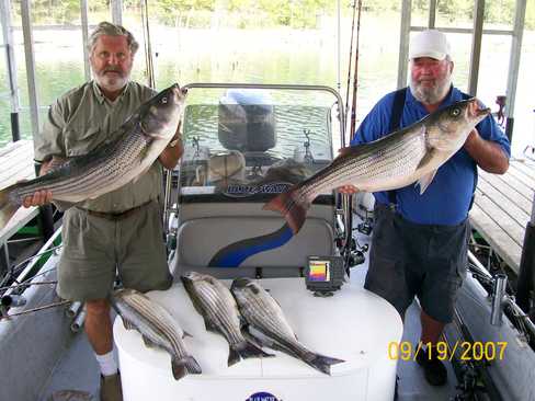 Nice Striped Bass