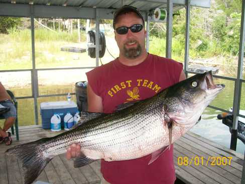 Nice Striped Bass