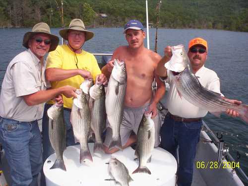 Nice Striped Bass