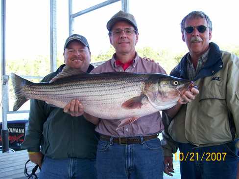 Nice Striped Bass