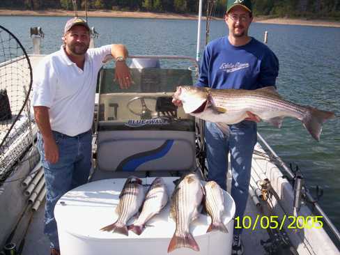 Nice Striped Bass