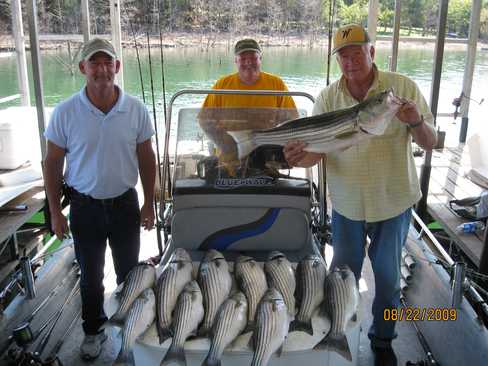 Nice Striped Bass