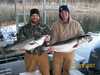 (12/29/2007) - Nice Striped Bass