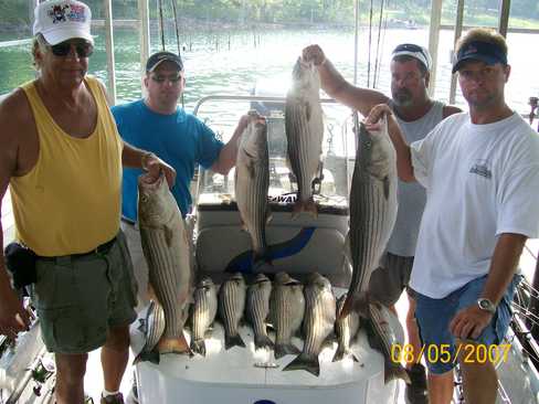 Nice Striped Bass