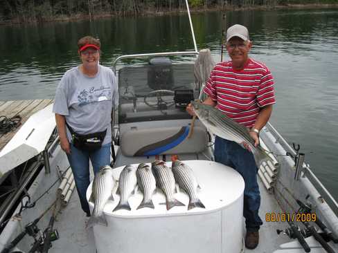 Nice Striped Bass