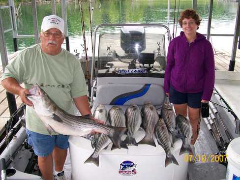 Nice Striped Bass