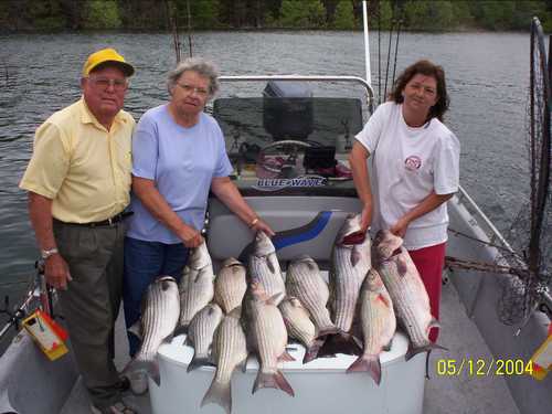 Nice Striped Bass