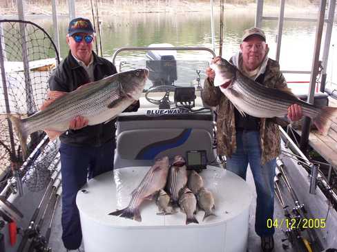 Nice Striped Bass