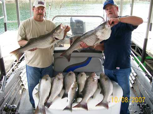 Nice Striped Bass