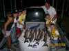 (06/29/2008) - Nice Striped Bass