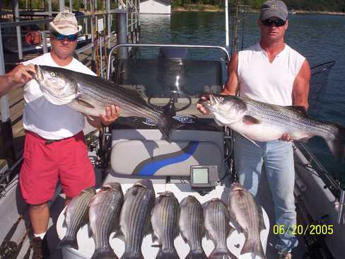 Nice Striped Bass