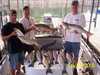 (08/25/2005) - Nice Striped Bass