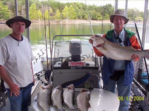 Nice Striped Bass