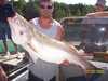 (07/02/2005) - Nice Striped Bass