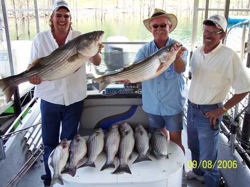 Nice Striped Bass