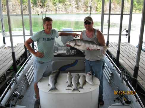 Nice Striped Bass