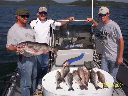 Nice Striped Bass