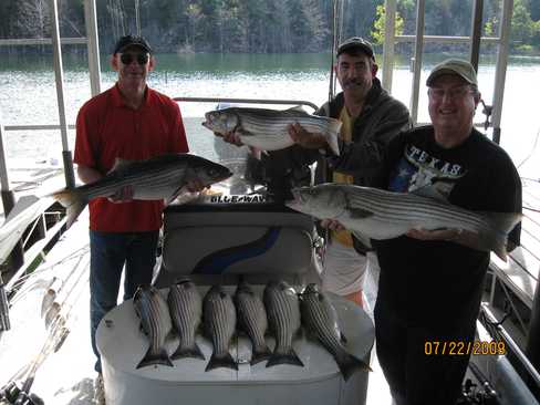 Nice Striped Bass