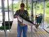 (06/09/2007) - Nice Striped Bass