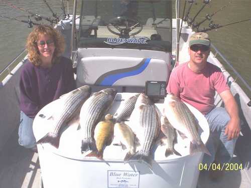 Nice Striped Bass