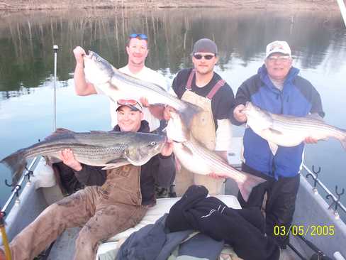 Nice Striped Bass