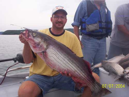 Nice Striped Bass